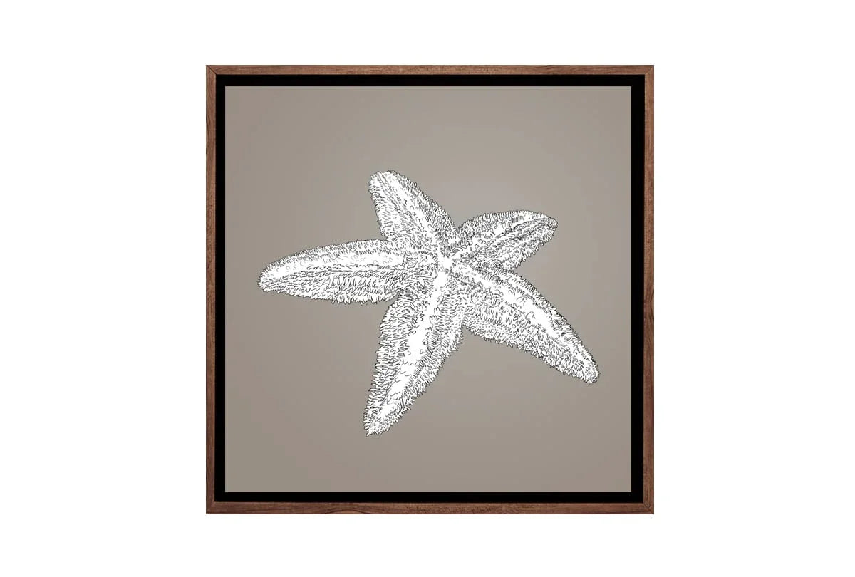 Star Fish White on Beige | Canvas Wall Art Print - Final Touch Decor
