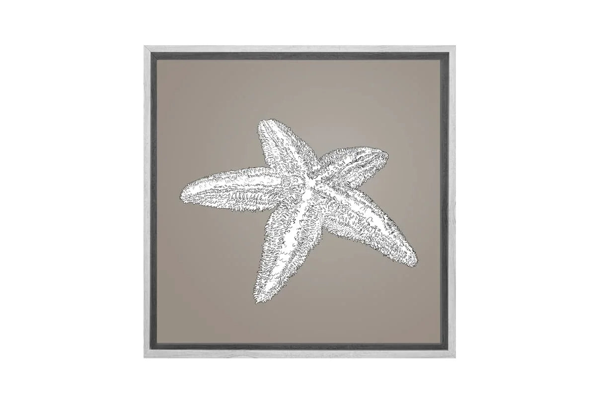 Star Fish White on Beige | Canvas Wall Art Print - Final Touch Decor