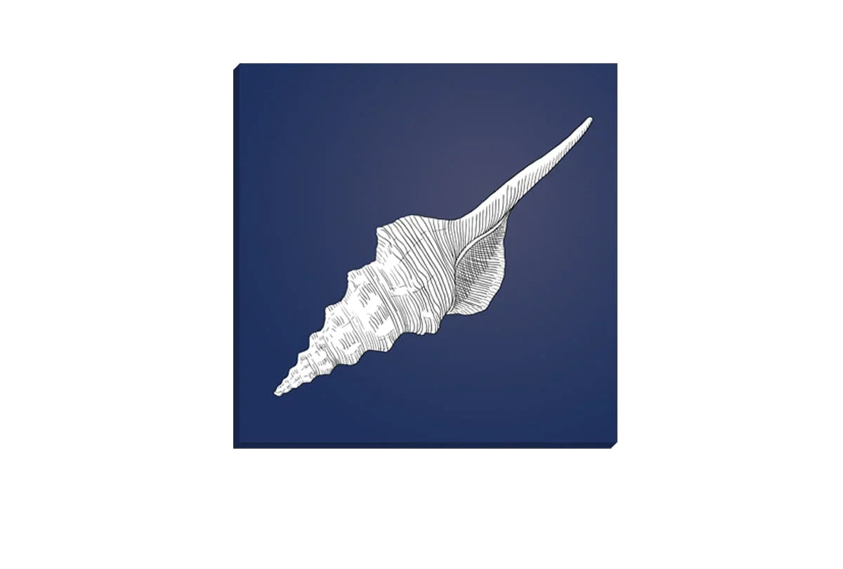 Shell White on Navy | Canvas Wall Art Print - Final Touch Decor
