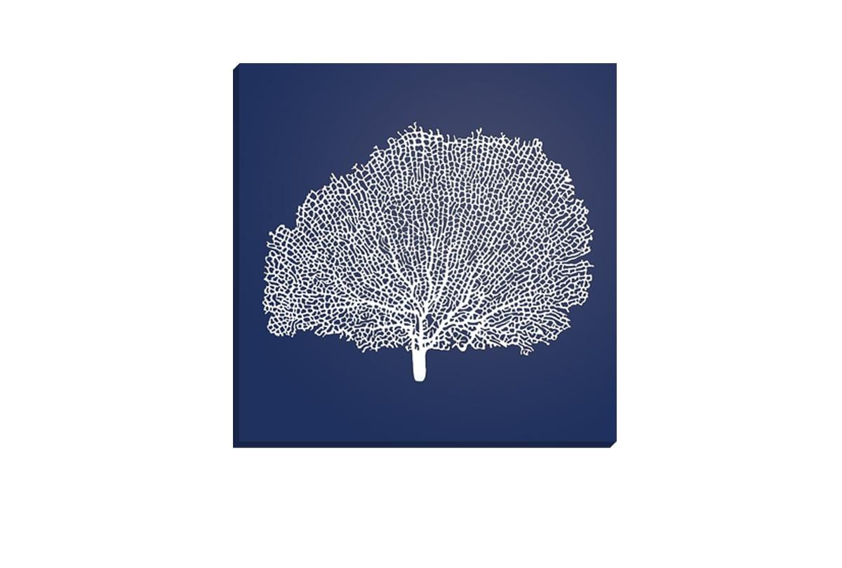 Fan Coral 2 White on Navy | Canvas Wall Art Print - Final Touch Decor