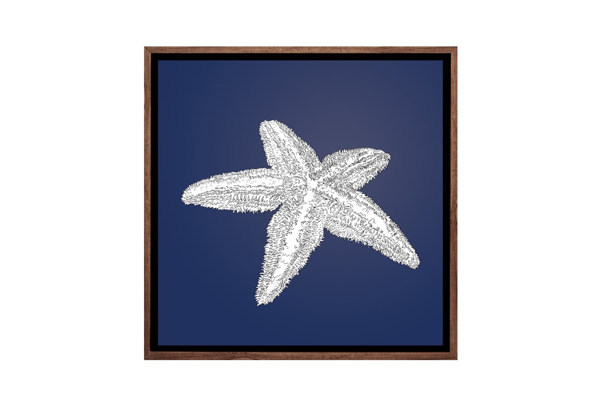 Star Fish White on Navy | Canvas Wall Art Print