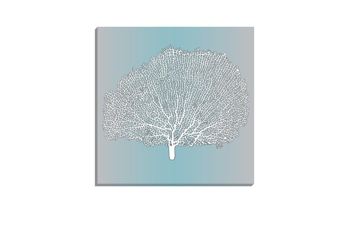 Fan Coral White on Teal | Canvas Wall Art Print - Final Touch Decor