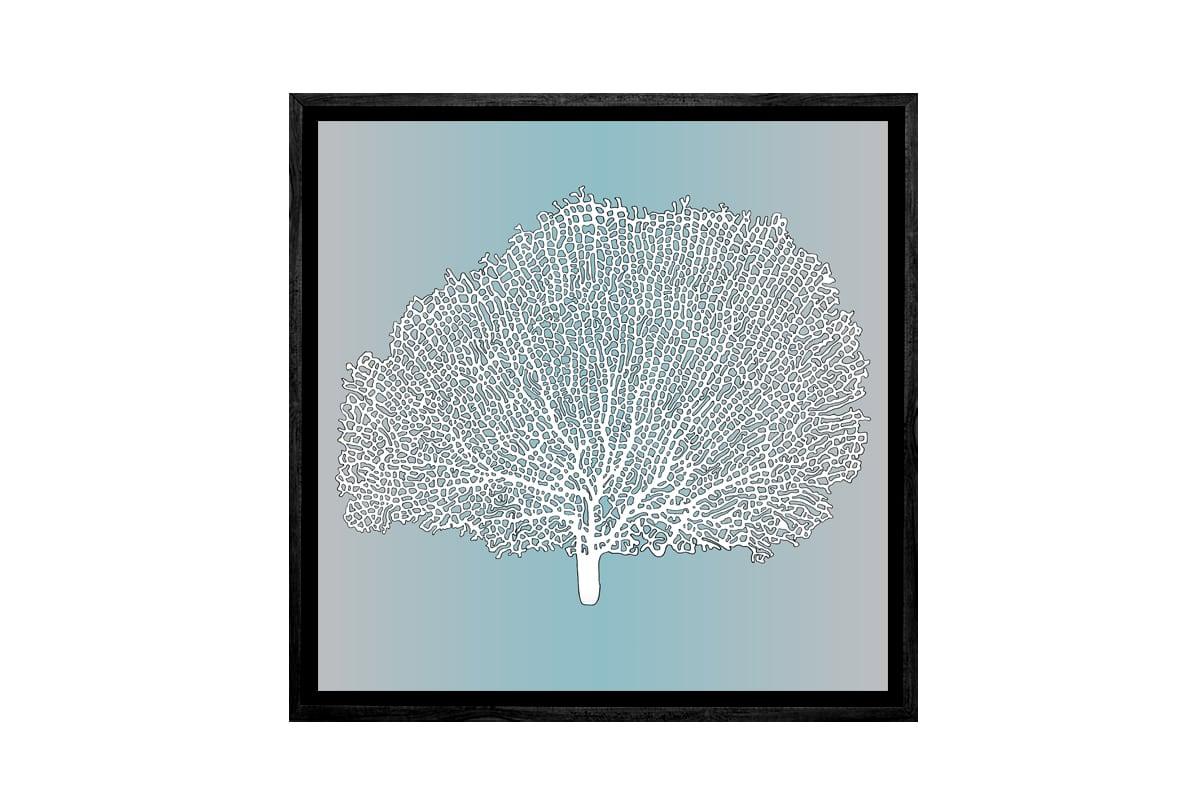 Fan Coral White on Teal | Canvas Wall Art Print - Final Touch Decor