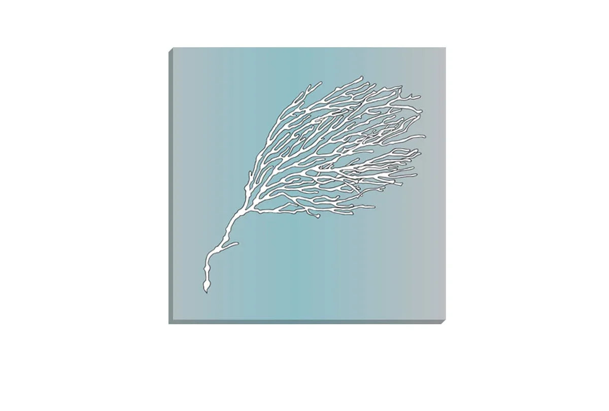 Fan Coral 2 White on Teal | Canvas Wall Art Print - Final Touch Decor
