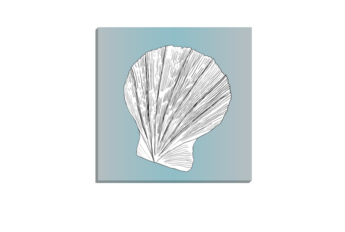 Shell 3 White on Teal | Canvas Wall Art Print - Final Touch Decor