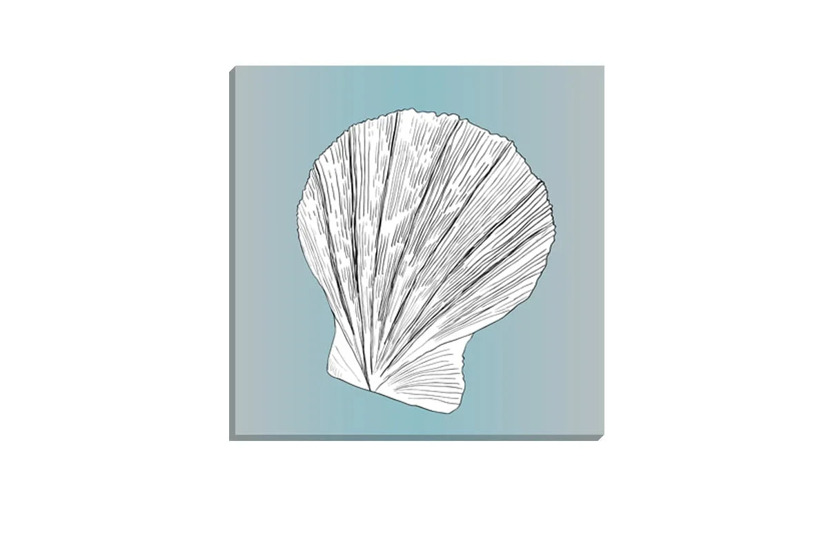 Shell 3 White on Teal | Canvas Wall Art Print - Final Touch Decor