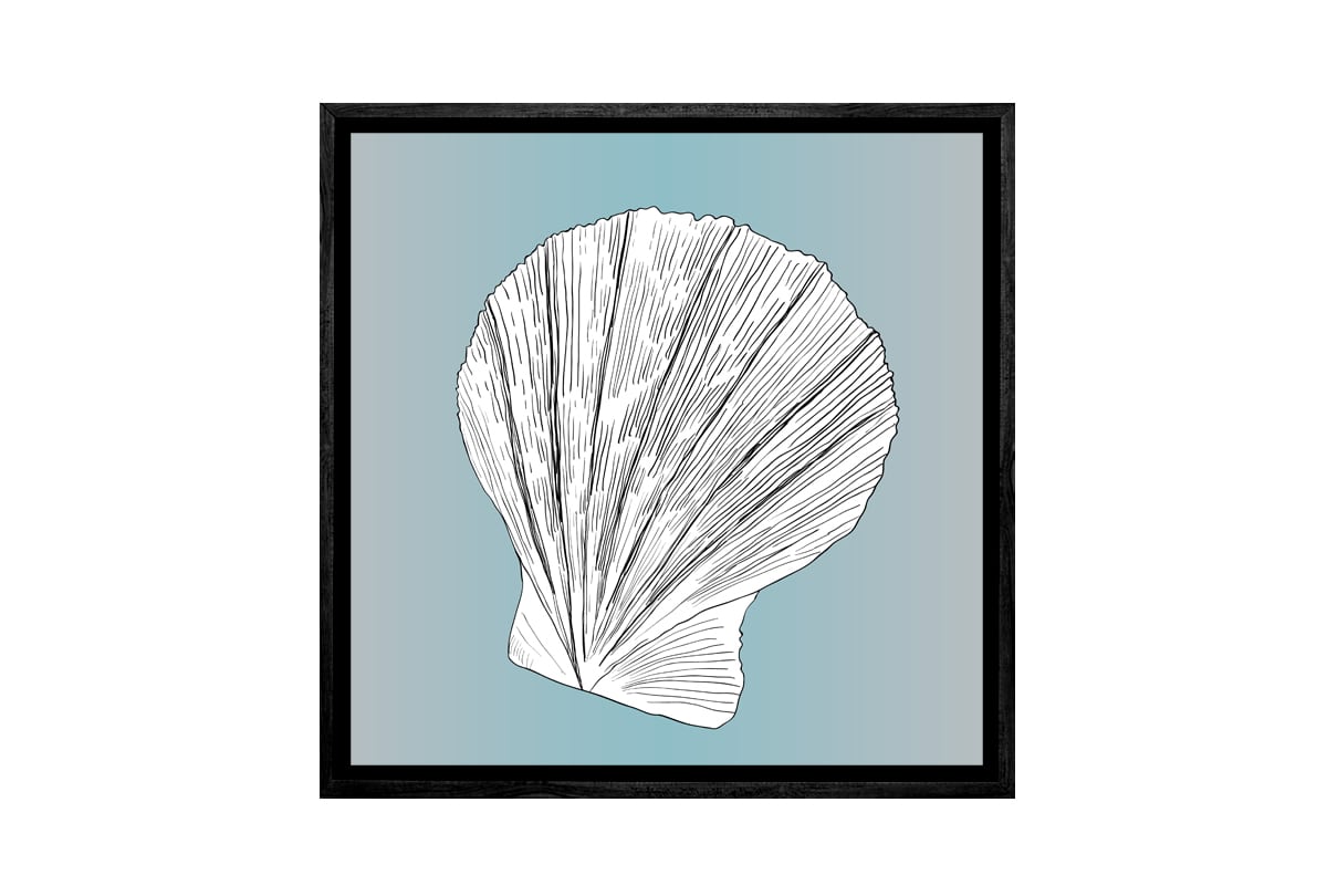 Shell 3 White on Teal | Canvas Wall Art Print - Final Touch Decor