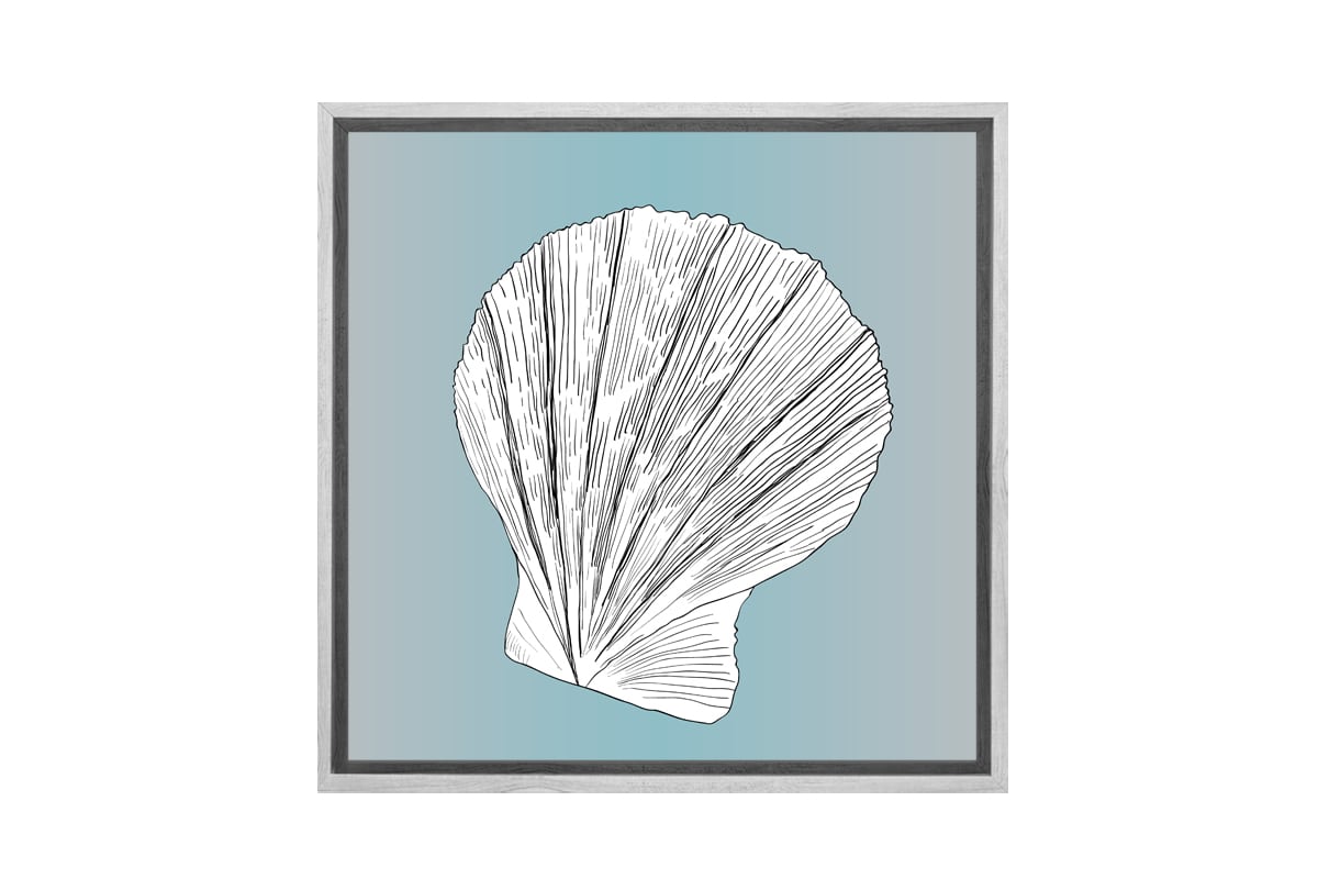 Shell 3 White on Teal | Canvas Wall Art Print - Final Touch Decor