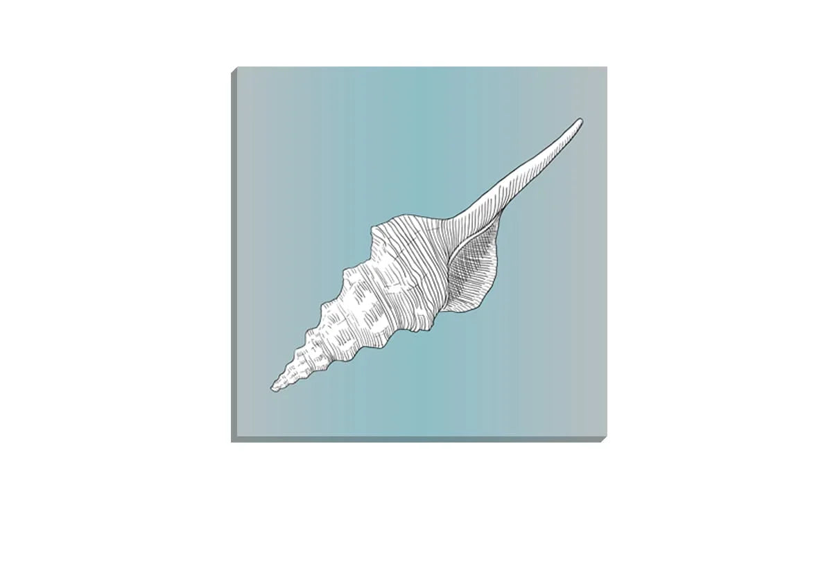 Shell White on Teal | Canvas Wall Art Print - Final Touch Decor