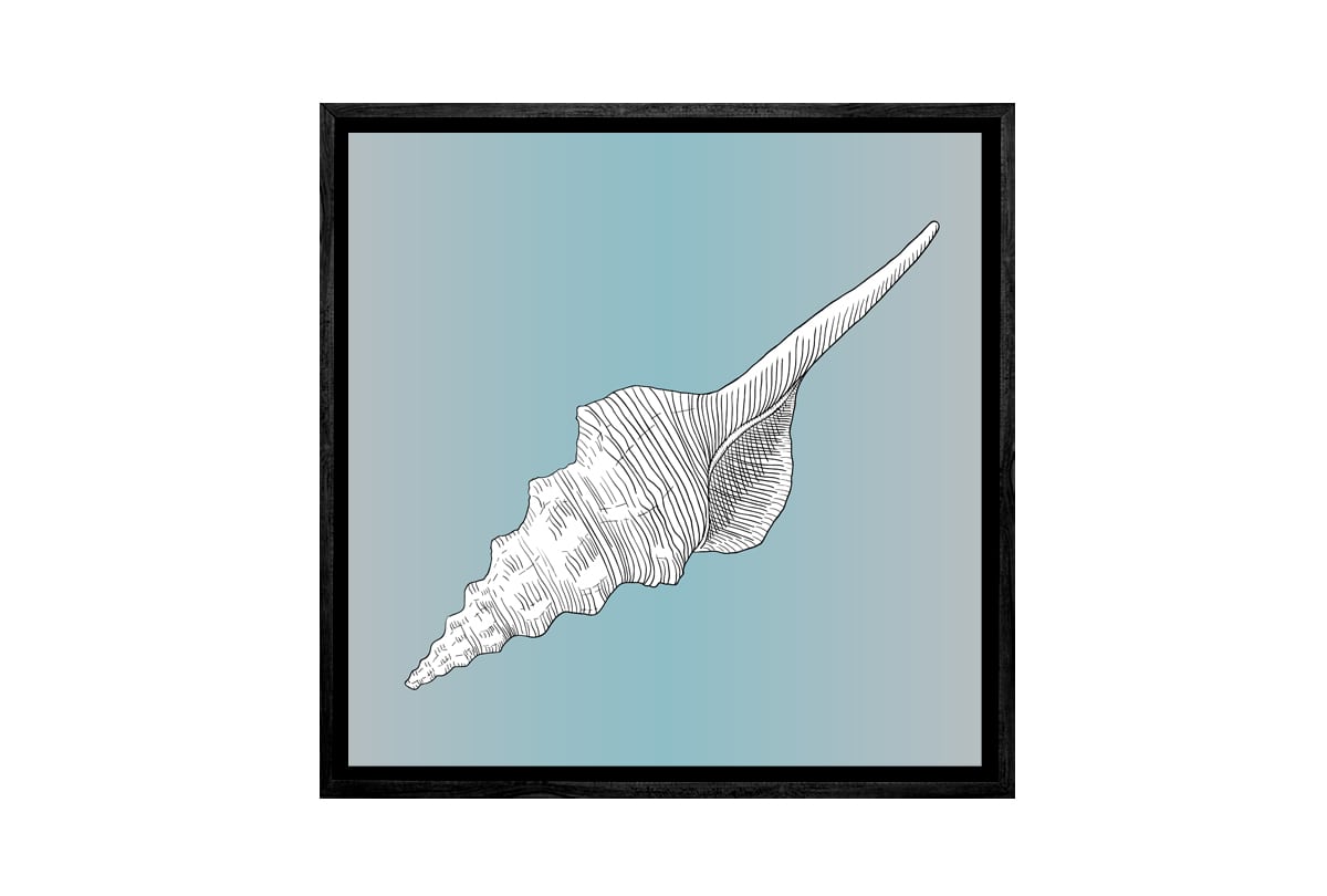 Shell White on Teal | Canvas Wall Art Print - Final Touch Decor