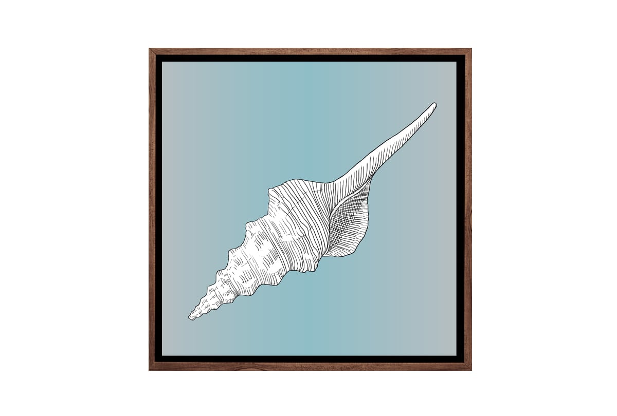 Shell White on Teal | Canvas Wall Art Print - Final Touch Decor