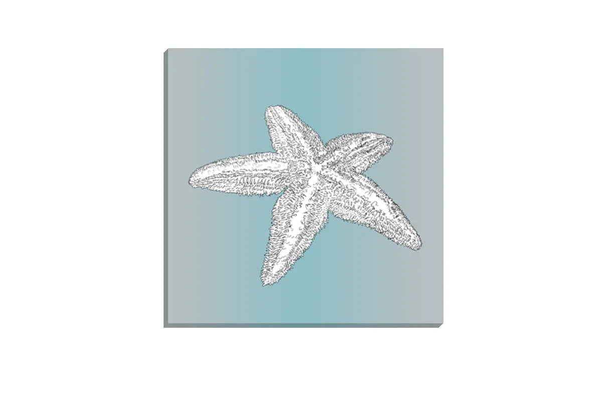 Star Fish White on Teal | Canvas Wall Art Print - Final Touch Decor