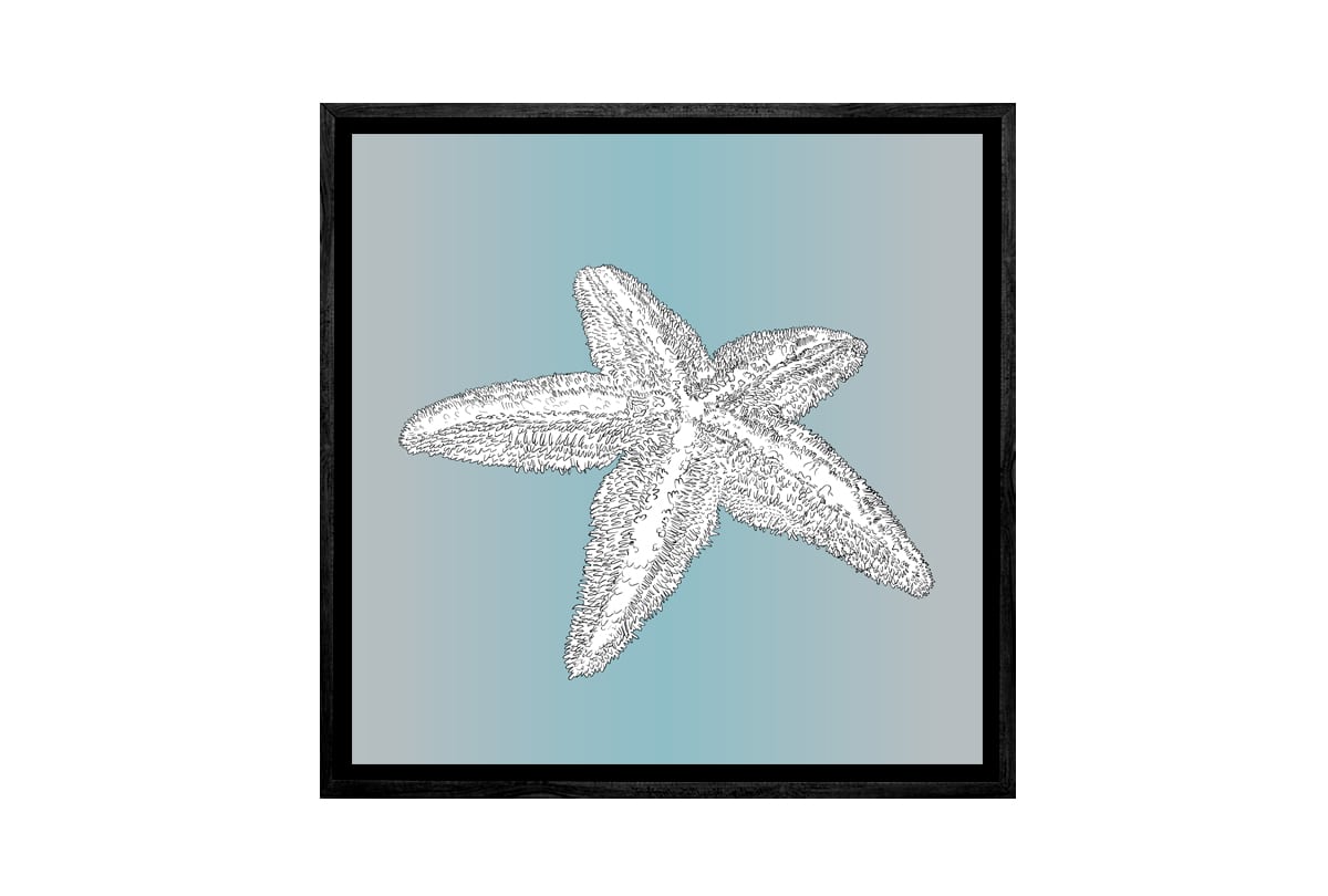 Star Fish White on Teal | Canvas Wall Art Print - Final Touch Decor