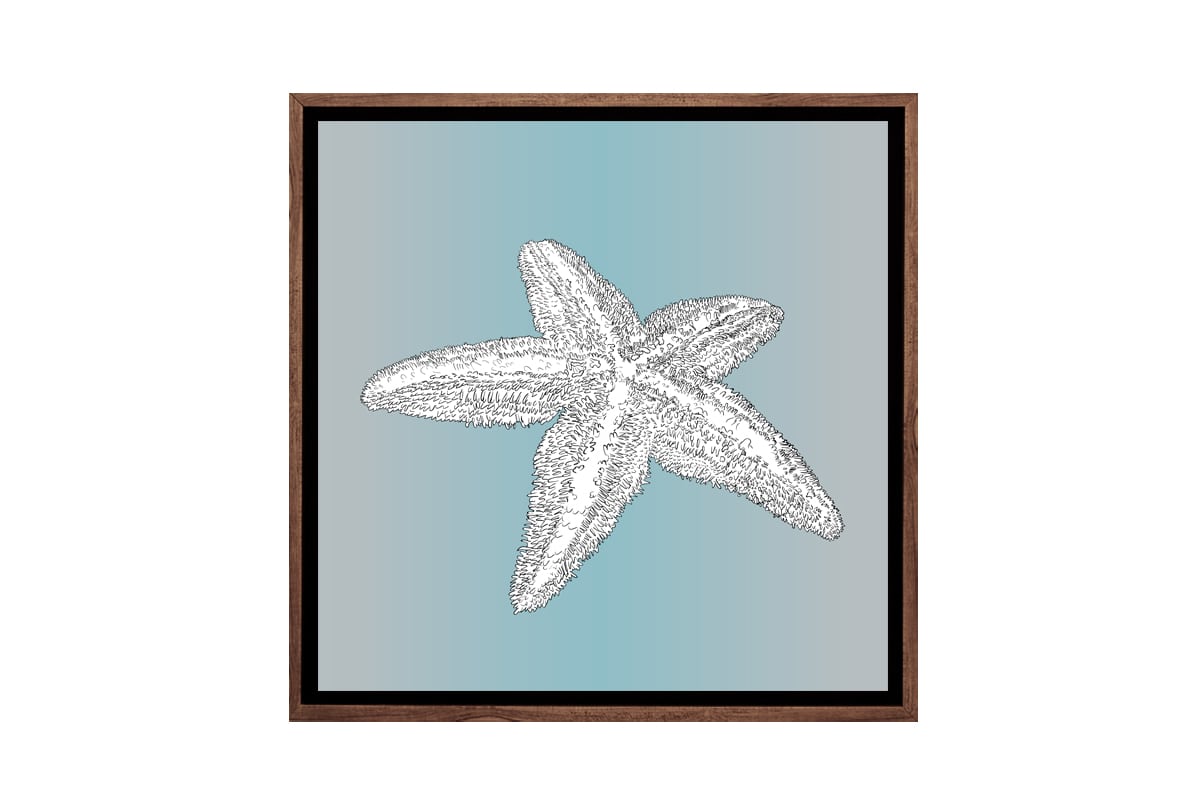 Star Fish White on Teal | Canvas Wall Art Print - Final Touch Decor