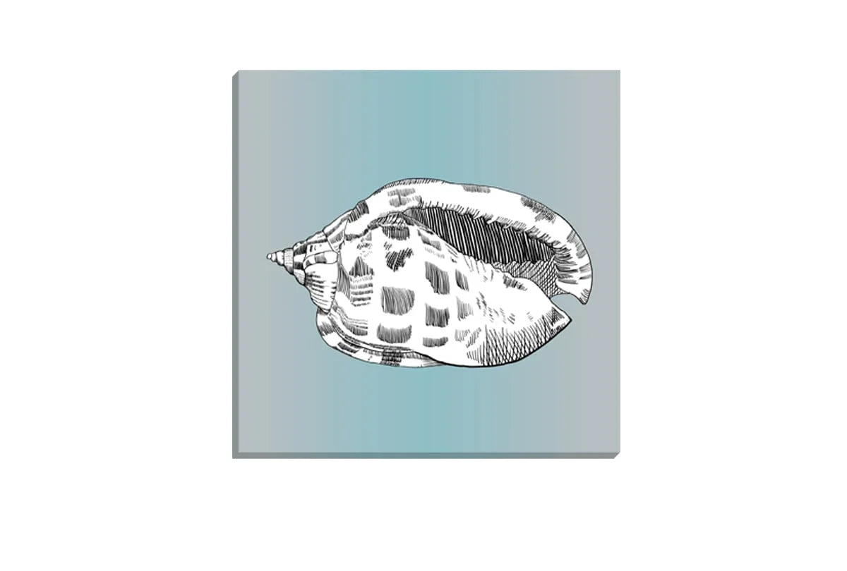 Shell 2 White On Teal | Canvas Wall Art Print - Final Touch Decor
