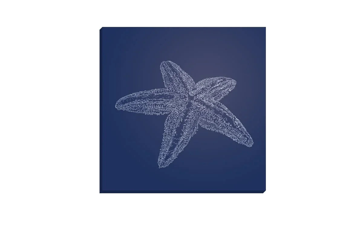 Star Fish 2 White on Navy | Canvas Wall Art Print - Final Touch Decor