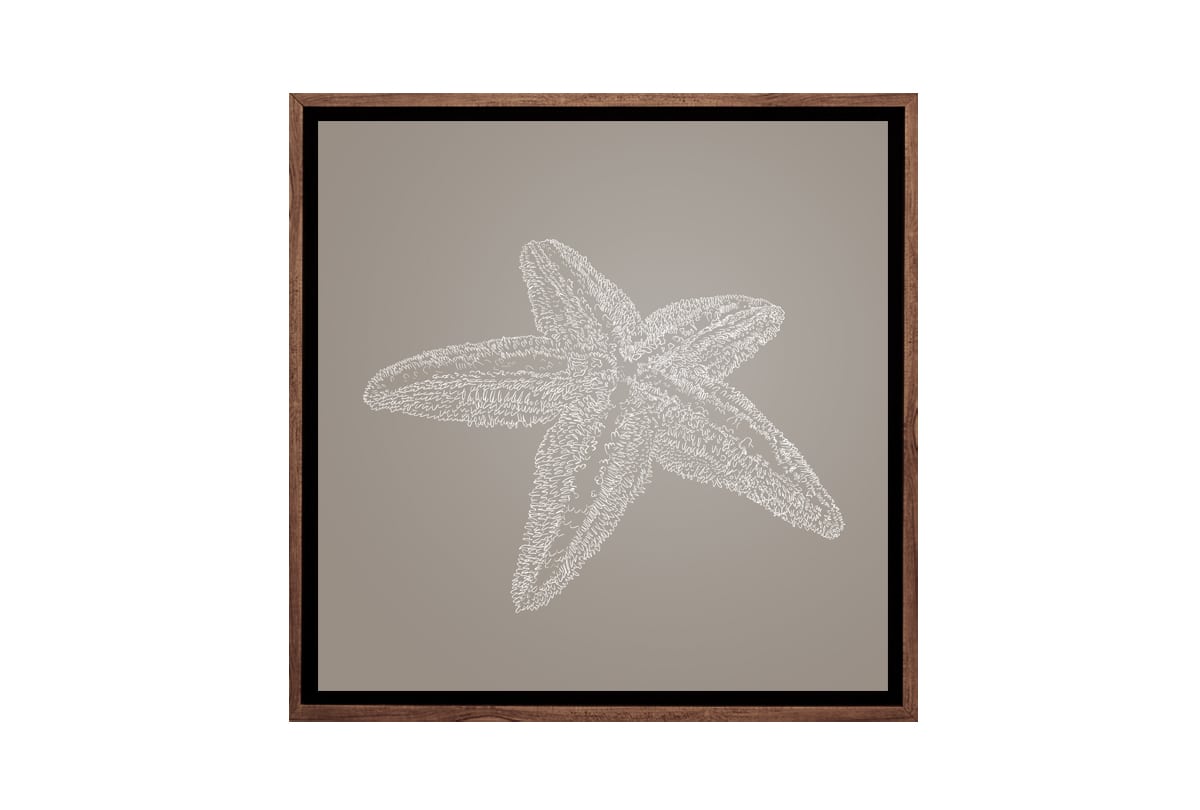 Star Fish 2 White on Beige | Canvas Wall Art Print - Final Touch Decor