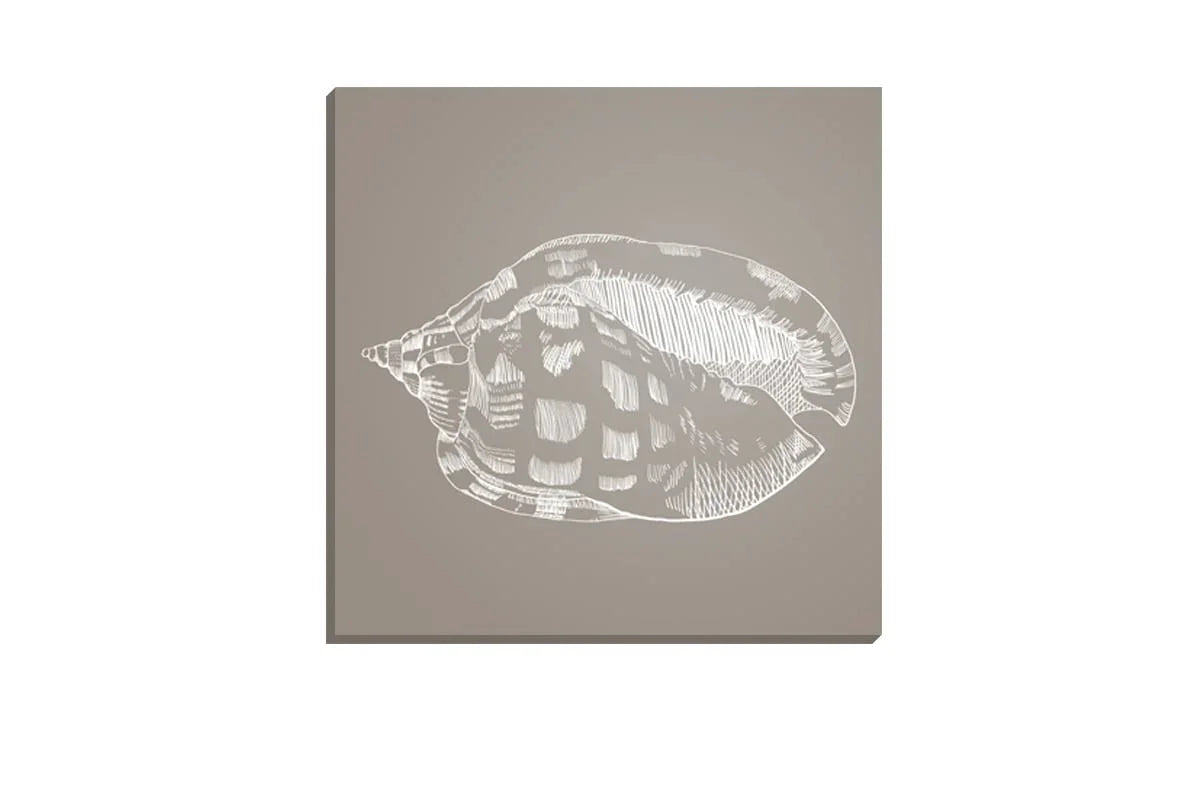 Shell 2 White on Beige | Canvas Wall Art Print - Final Touch Decor