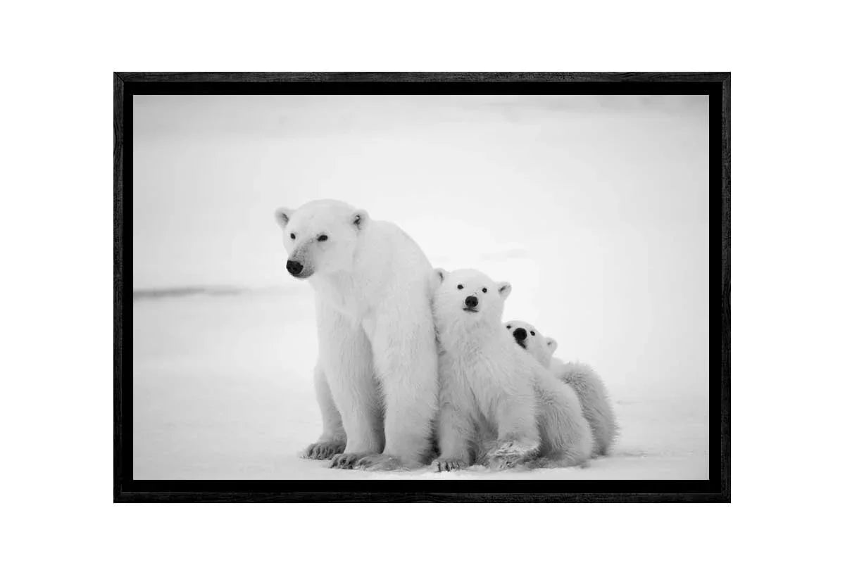 Polar Bear Print | Animal Canvas Wall Art Print - Final Touch Decor