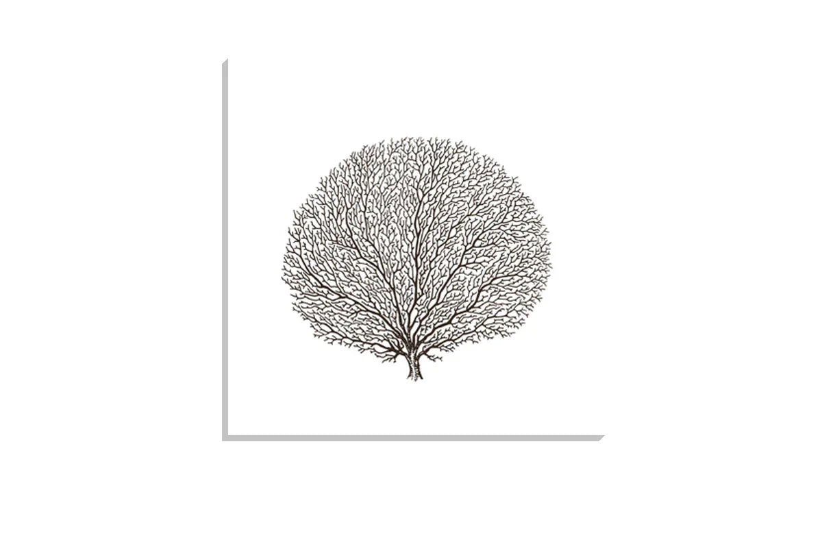 Fan Coral Black on White | Canvas Wall Art Print - Final Touch Decor