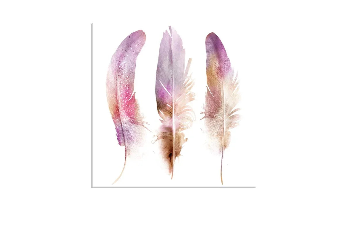 Pink Purple Brown Feathers | Watercolour Print | Wall Art - Final Touch Decor