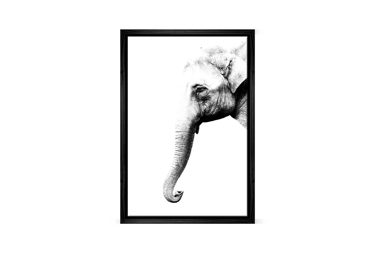 Elephant Portrait | Canvas Wall Art Print - Final Touch Decor