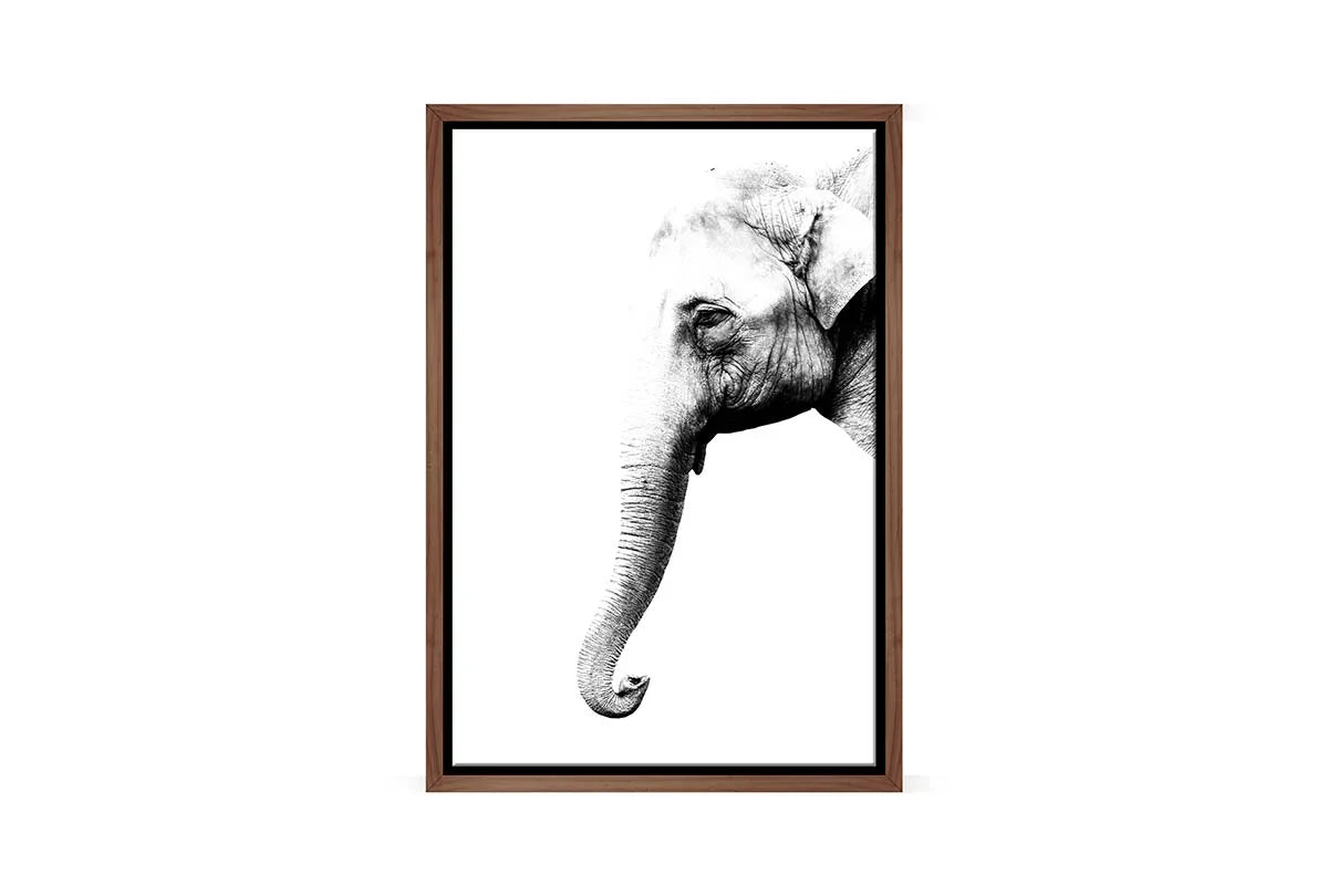 Elephant Portrait | Canvas Wall Art Print - Final Touch Decor