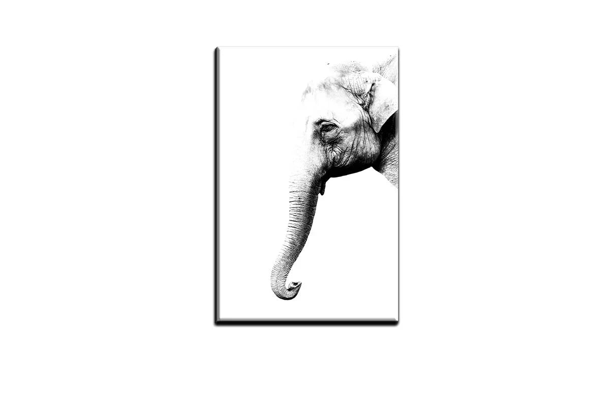 Elephant Portrait | Canvas Wall Art Print - Final Touch Decor