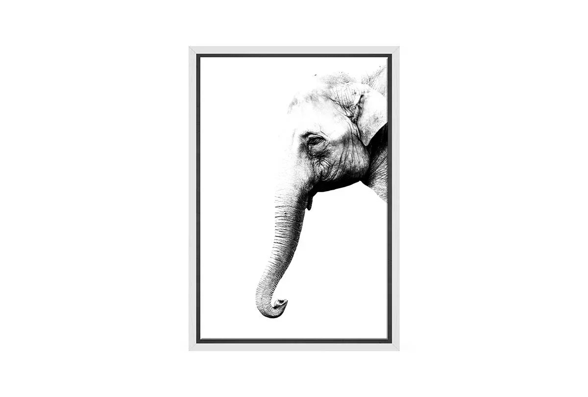 Elephant Portrait | Canvas Wall Art Print - Final Touch Decor