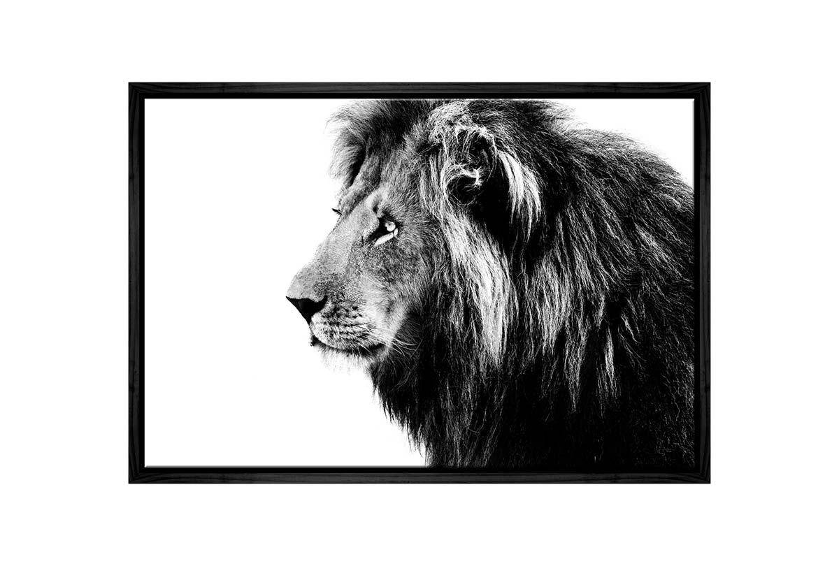 Lion Portrait | Canvas Wall Art Print - Final Touch Decor