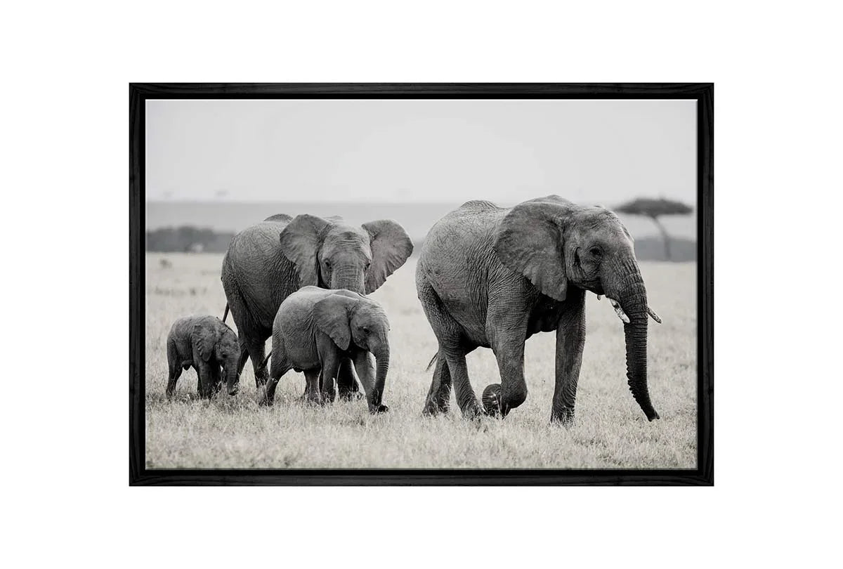 Elephant Family | Canvas Wall Art Print - Final Touch Decor