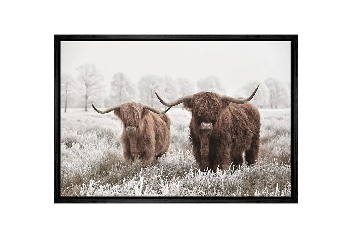 Highland Cows | Canvas Wall Art Print - Final Touch Decor