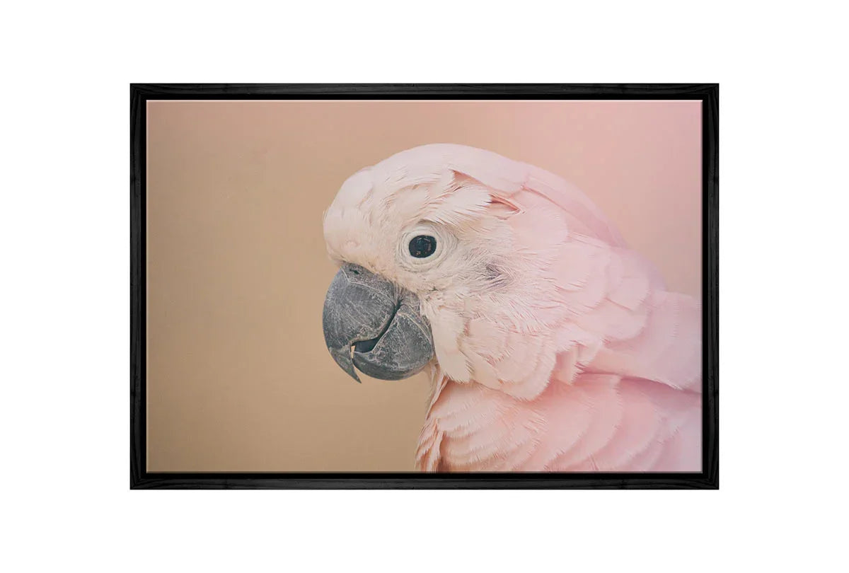 Pink Parrot | Canvas Wall Art Print - Final Touch Decor