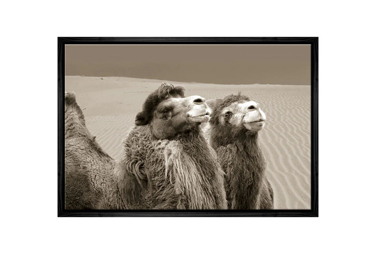 Camels | Canvas Wall Art Print - Final Touch Decor