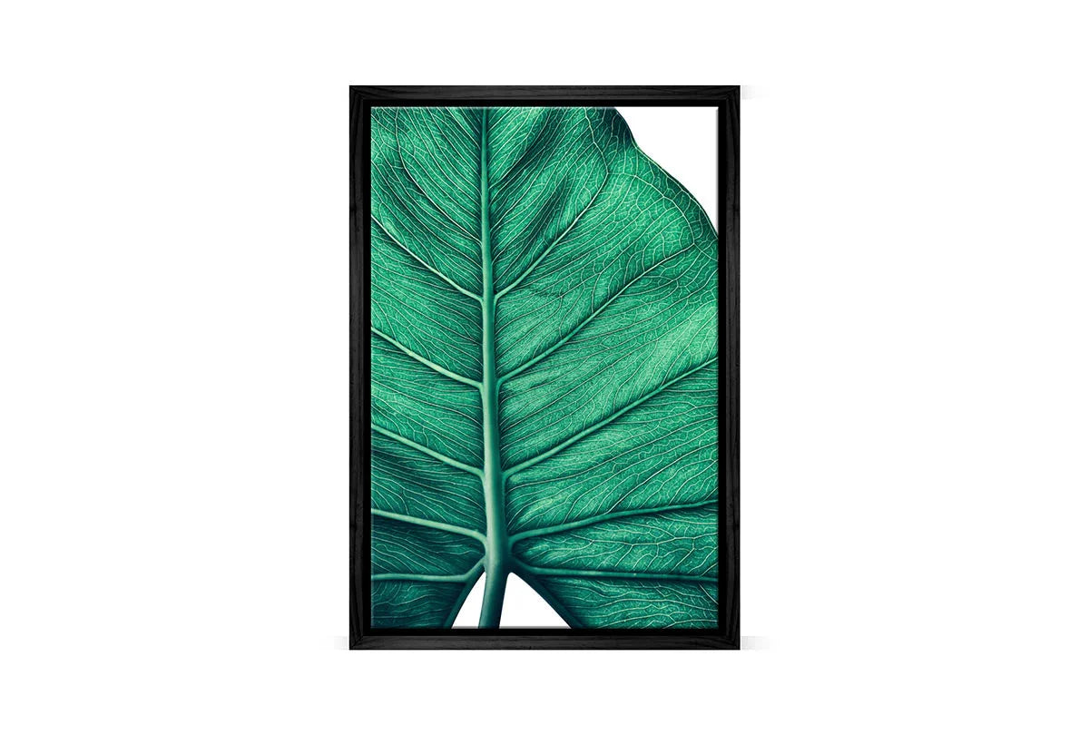 Tropical Leaf Close-Up | Canvas Wall Art Print - Final Touch Decor