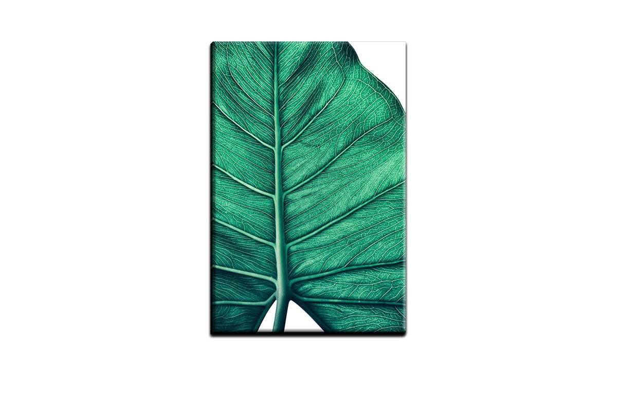 Tropical Leaf Close-Up | Canvas Wall Art Print - Final Touch Decor