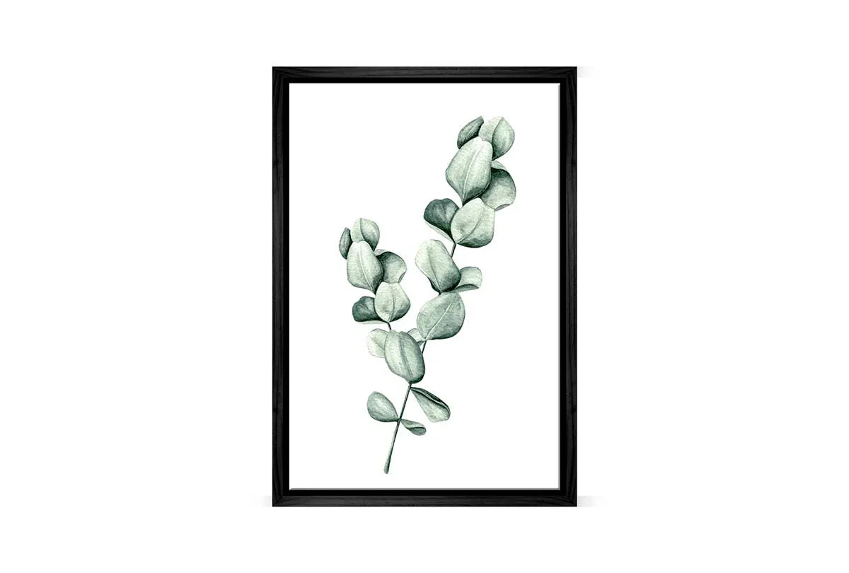 Eucalyptus Gum Leaves 1 | Canvas Wall Art Print - Final Touch Decor