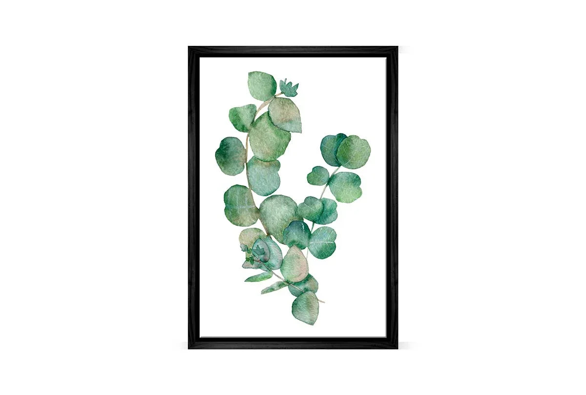 Eucalyptus Gum Leaves 2 | Canvas Wall Art Print - Final Touch Decor