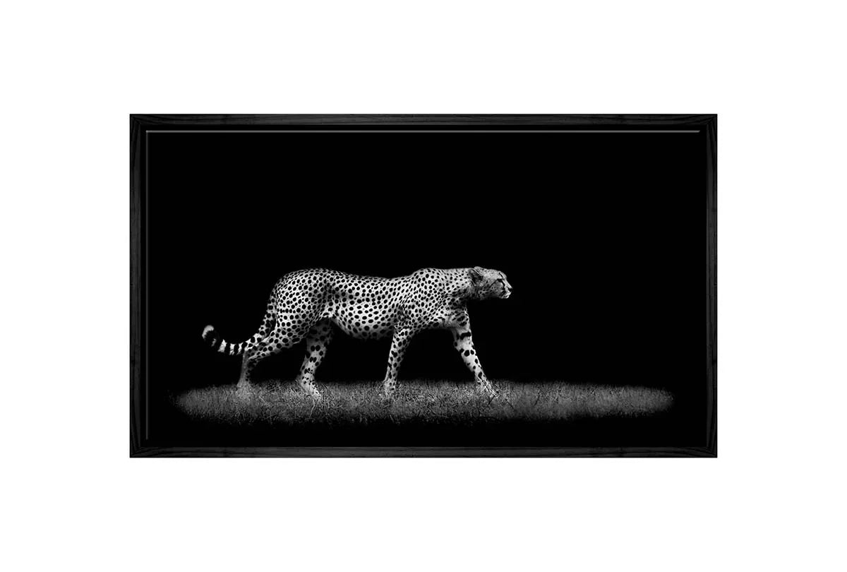 Cheetah Stalking Black and White | Animal Canvas Wall Art Print - Final Touch Decor
