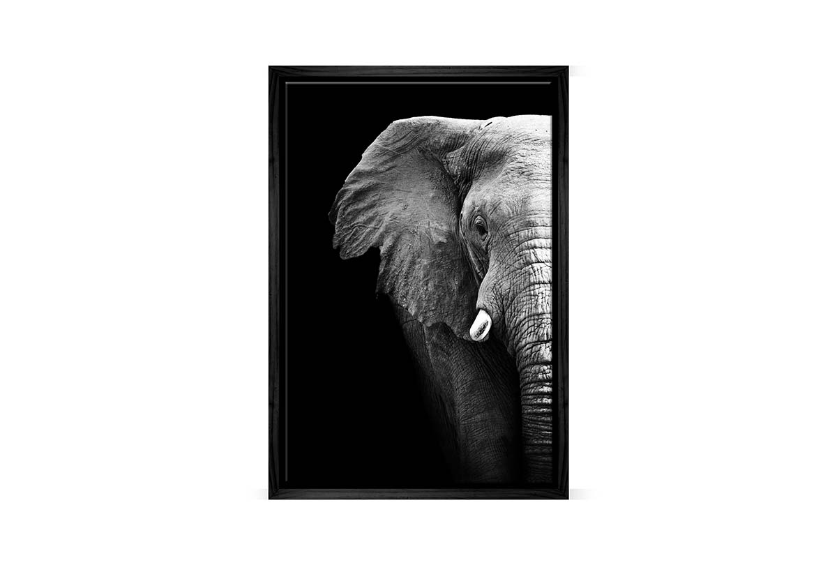Elephant Close-Up | Animal Canvas Wall Art Print