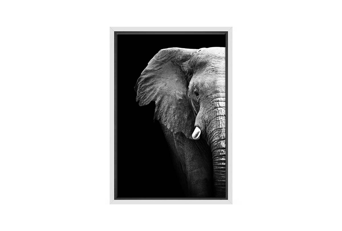 Elephant Close-Up | Animal Canvas Wall Art Print