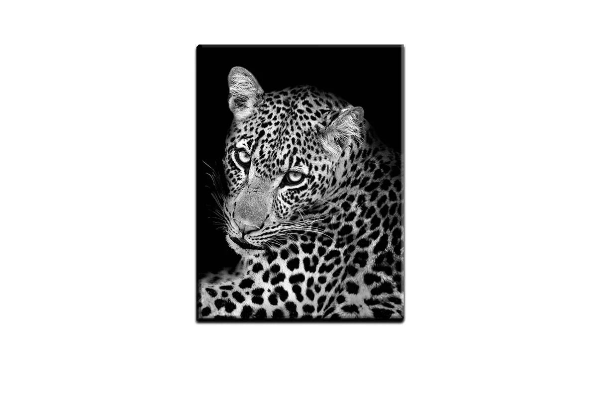 Cheetah Portrait | Animal Canvas Wall Art Print - Final Touch Decor
