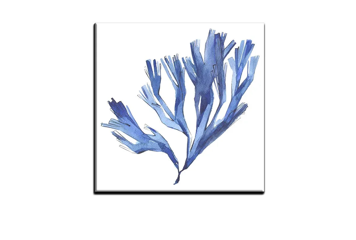 Blue Seaweed | Hamptons Canvas Wall Art Print - Final Touch Decor
