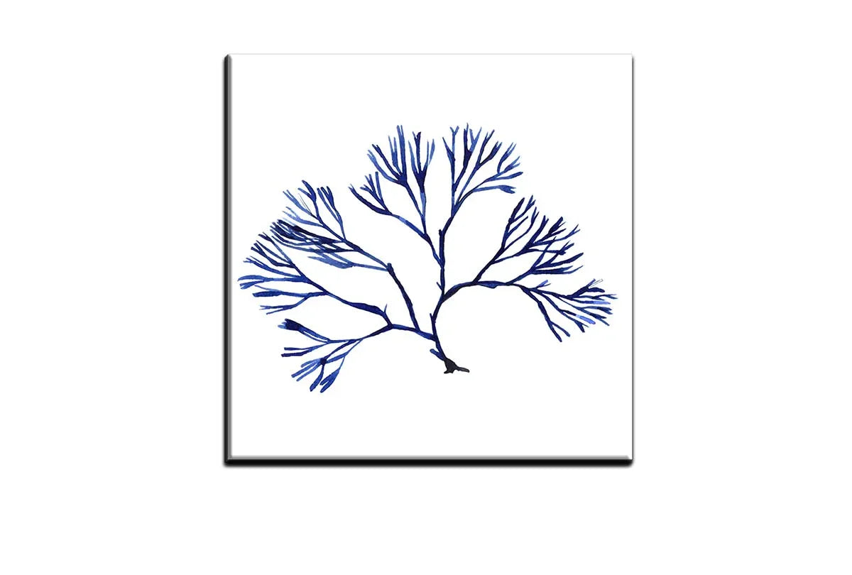 Blue Seaweed 2 | Hamptons Canvas Wall Art Print - Final Touch Decor
