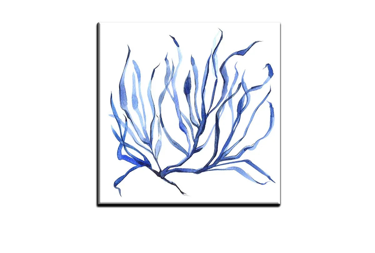 Blue Seaweed 3 | Hamptons Canvas Wall Art Print - Final Touch Decor