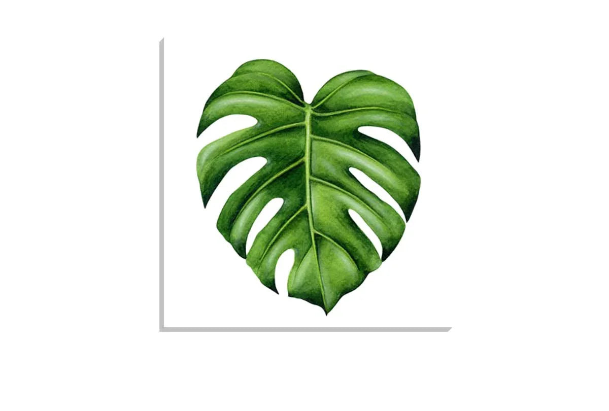 Monstera Leaf | Canvas Wall Art Print - Final Touch Decor