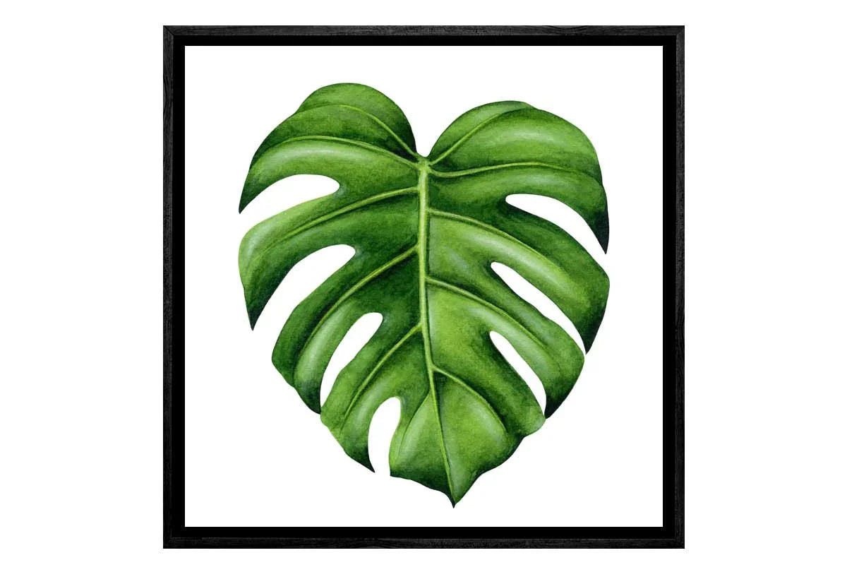 Monstera Leaf | Canvas Wall Art Print - Final Touch Decor