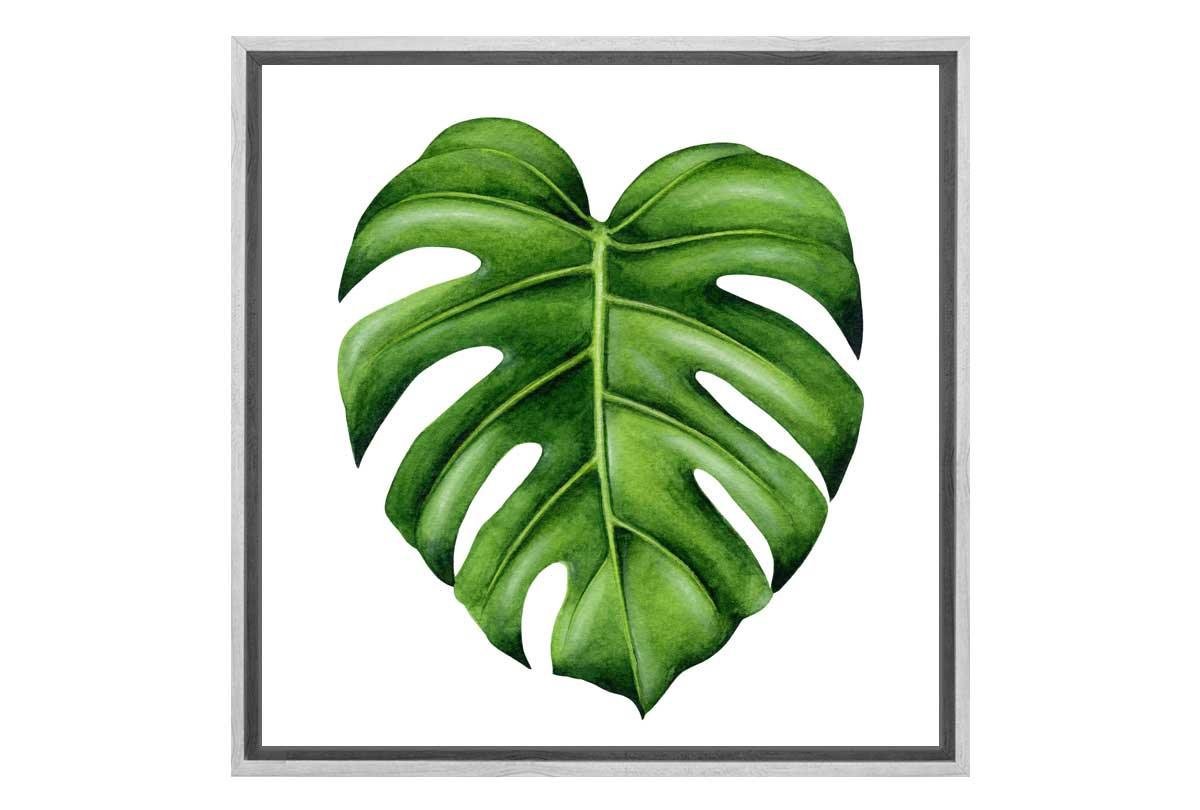 Monstera Leaf | Canvas Wall Art Print - Final Touch Decor