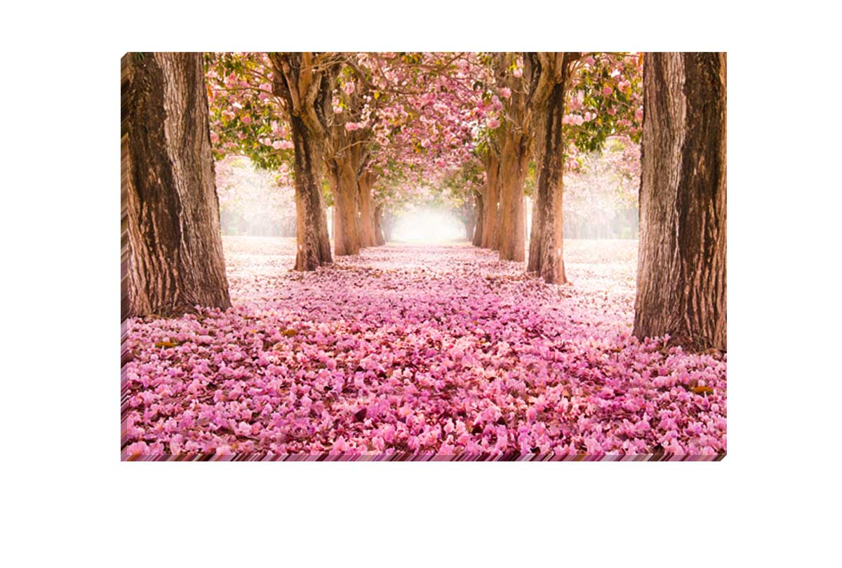 Pink Petals | Landscape Canvas Wall Art Print - Final Touch Decor