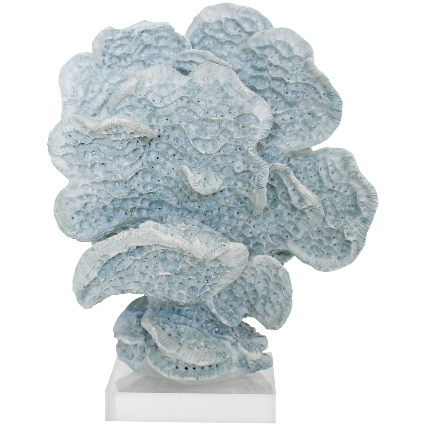 Fan Coral Ornament Light Blue